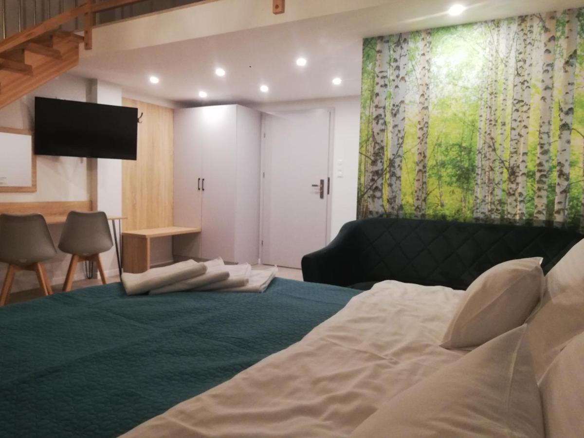 U Zrodel Bed & Breakfast Wisla Exterior photo